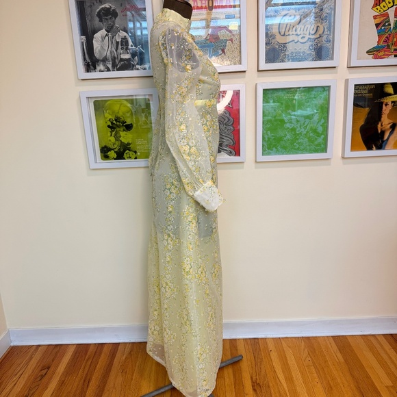 Vintage 60s Sheer Floral Maxi Dress 🌼: - Picture 3 of 10